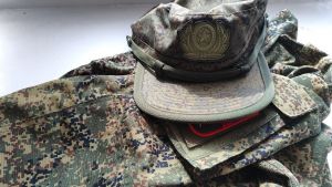 В Пензенской области выявили более 100 нарушений прав участников СВО