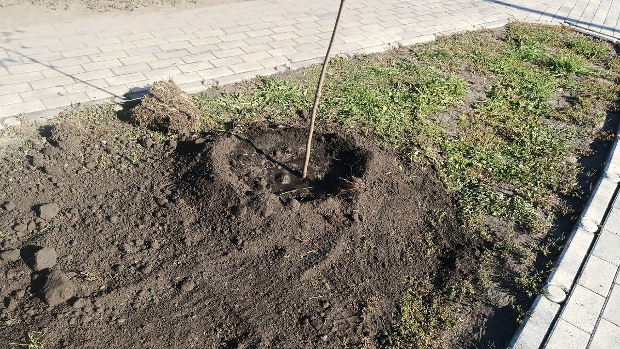 В Пензе перераспределили бюджетные средства на благоустройство и свет