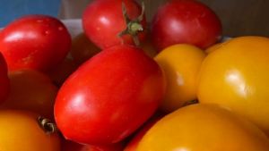 Как сохранить продукты свежими в 2 раза дольше и перестать переплачивать: вы всегда хранили их неправильно