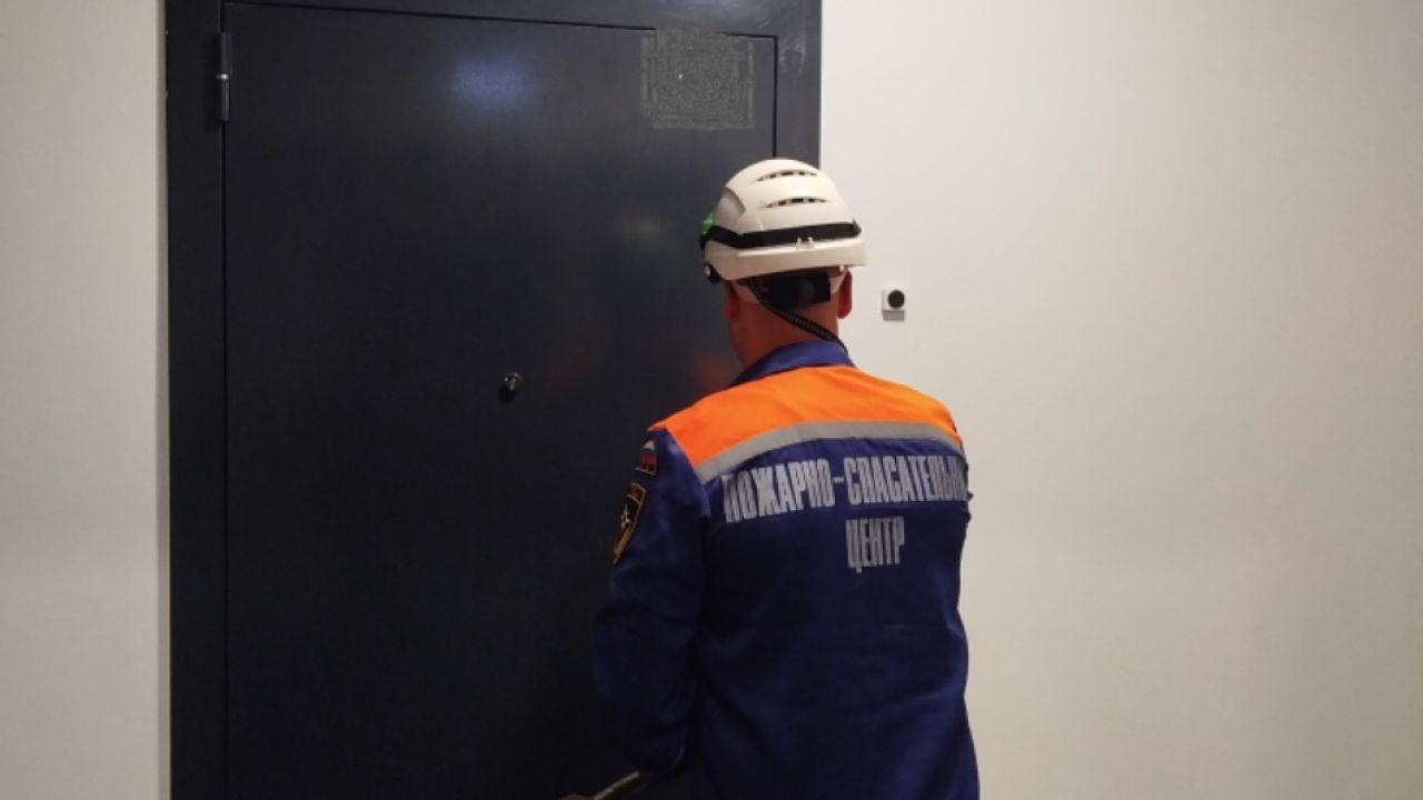 Спасатели помогли пензячке попасть в запертую квартиру к малышу