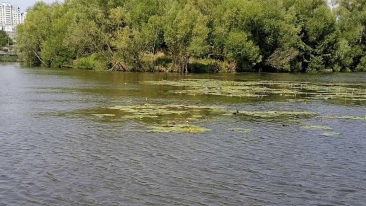 В Пензе спасатели провели поиск в Суре предположительно утонувшего мужчины