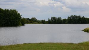 Народный фронт: в Соколовке Никольского района жители пьют воду из реки