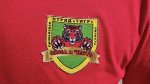 За 6 месяцев пензенские «Тигры» выявили 81 преступление
