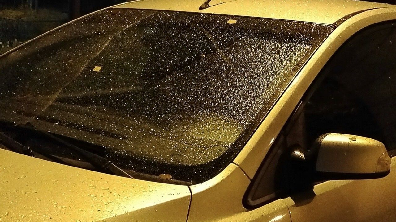 Ночью 14 августа в Пензенской области похолодает до +6 градусов