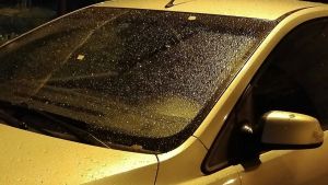Ночью 14 августа в Пензенской области похолодает до +6 градусов