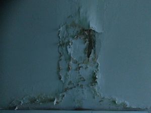Родители в соцсетях пожаловались на текущие потолки, не дождавшись реакции пензенского Минобра