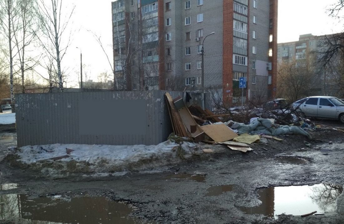 Пензенцы сфотографировали помойку и задались вопросом