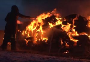 Российские шаманы сожгли пять верблюдов в патриотических целях. Видео