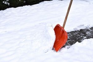 В соседнем с Пензенской областью регионе уволили чиновницу, заставившую убирать снег учителей