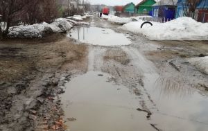 Жители райцентра Пензенской области показали властям, какой ужас творится на улицах. Фото