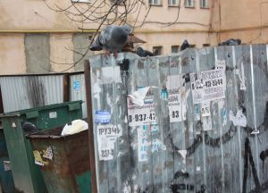 Фотовзгляд: удалить спам в корзину?