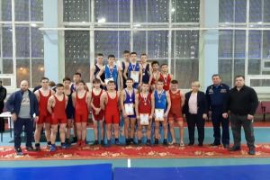 Борцы из Пензенской области выиграли 11 медалей на всероссийских соревнованиях