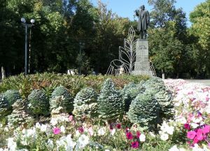 Фотовзгляд: Критик и капуста
