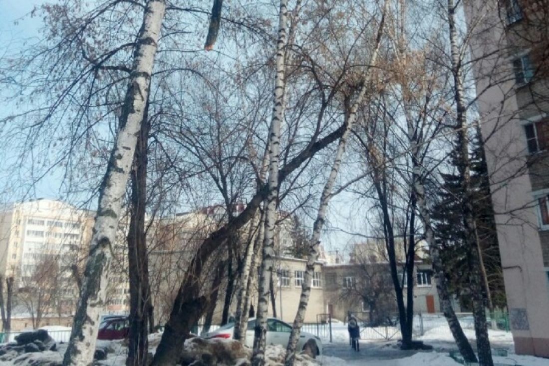 Жительница Пензы беспокоится за безопасность учеников местной школы