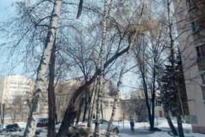 Жительница Пензы беспокоится за безопасность учеников местной школы