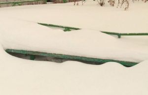 «Такого пренебрежения к уборке города еще не было». Жители Пензы потрясены