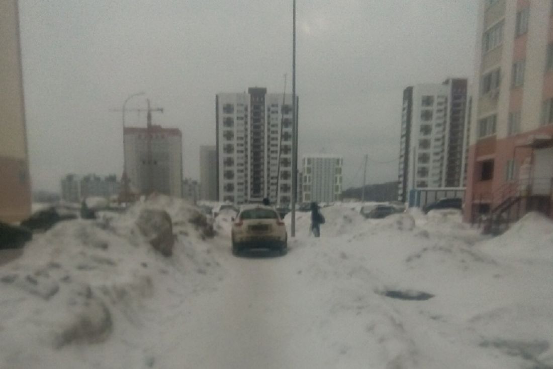 Пензенцы возмущены наглым поступком автохама