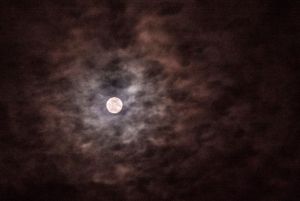 Пензенцы делятся в соцсетях фотографиями «снежной Луны»