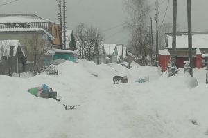 Жители Кузнецка пожаловались на то, что в городе не убирают мусор