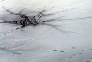 Что делать, если Вы провалились под лед