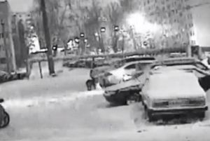 В Пензе бездомные собаки испортили припаркованные машины. Видео