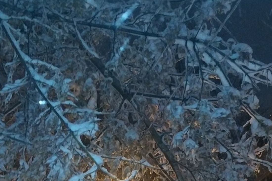 В Пензе на проспекте Победы ветки лежат на проводах
