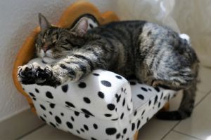 Новогодние каникулы: как встать с дивана и начать жить