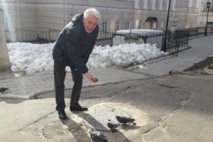Директор пензенской картинной галереи увеличил пайку голубям