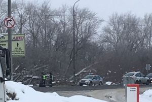 В Пензе на трассе заметили лежащего человека