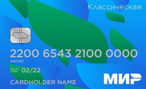 Почти треть жителей Пензенской области пользуется картами «Мир»