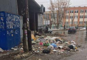 «Мусор лежит с 17 января». Пензенский двор превратился в свалку. Фото