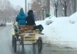 «Когда увидел цены на бензин». Жители Пензы вновь пересаживаются на гужевой транспорт. Видео