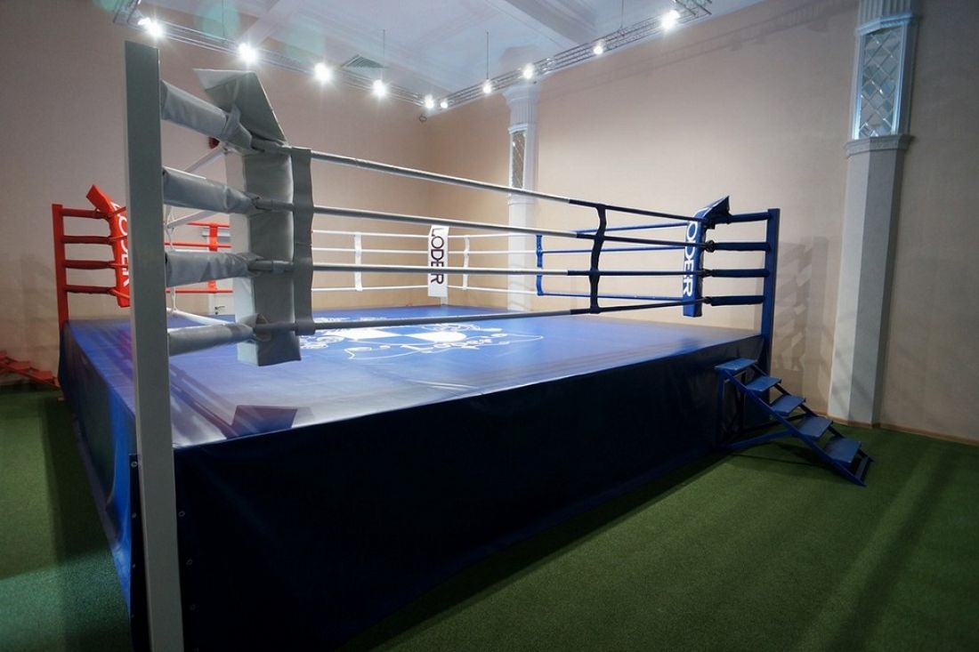 Пензенские спортшколы получили оборудование и инвентарь