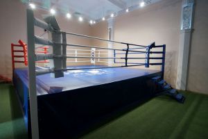 Пензенские спортшколы получили оборудование и инвентарь
