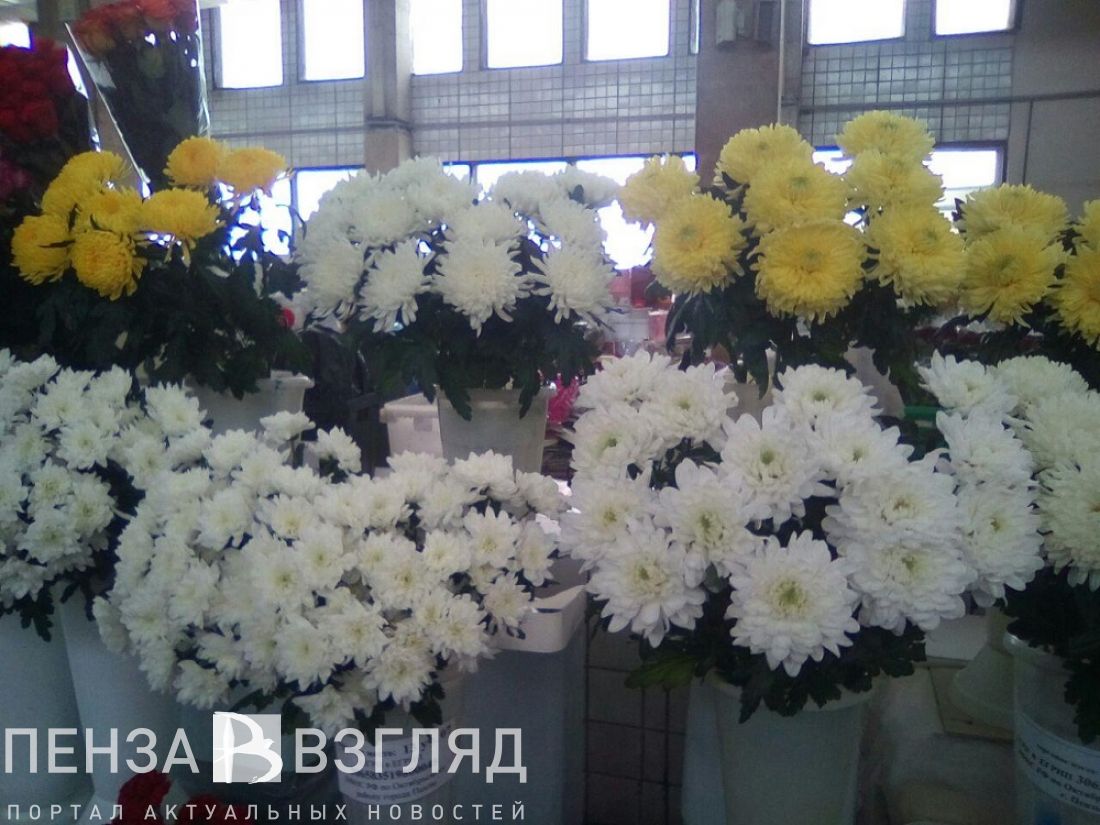 Подорожают ли в Пензе цветы к Дню святого Валентина?