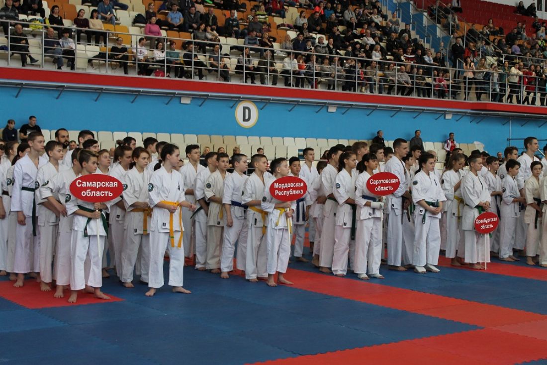 В Пензе завершились чемпионат и первенство ПФО по киокусинкай