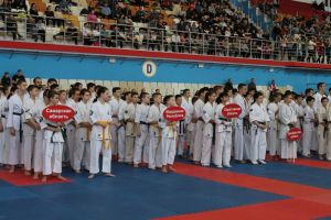 В Пензе завершились чемпионат и первенство ПФО по киокусинкай