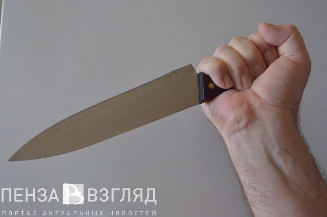 Ревнивец с ножом, «наркотическая аллея» и семейная драма: новости Пензенской области за 28 января